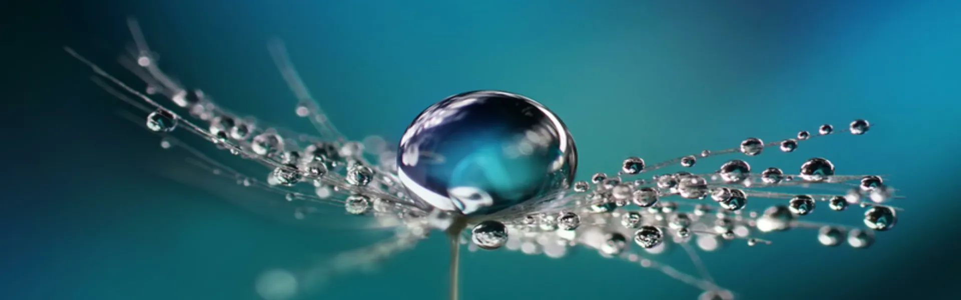 AGIR pour un avenir durable