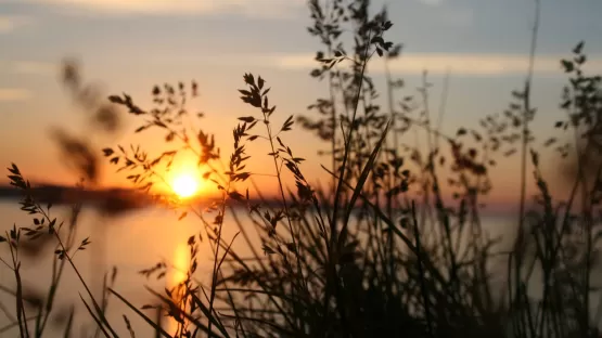 Respect de l'environnement - Solutions pour la transition énergétique
