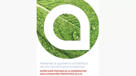 eBook MAP gris - alimentaire - Air Liquide
