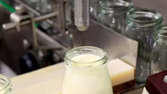 conformes au contact alimentaire