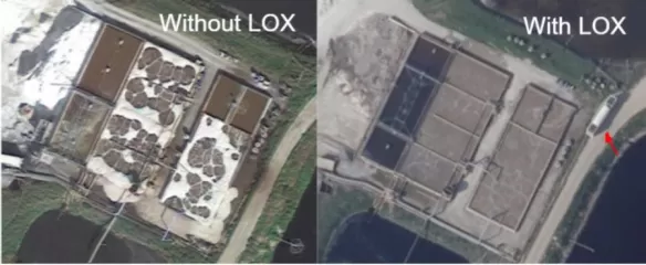 De rechter foto toont een Pure O2 gevoede biologie die schuim, geur en uitstoot vermijdt.