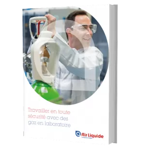 ebook travailler en toute sécurité avec les gaz en laboratoire