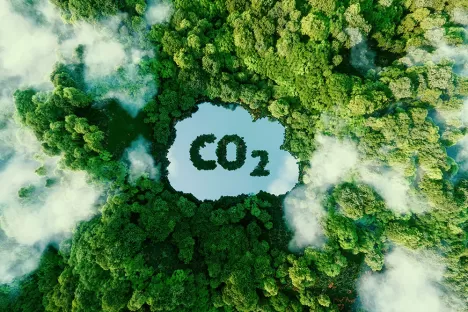 Fonctionnement de ce projet de CCS à grande échelle