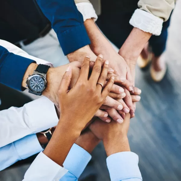 inclusion_diversity