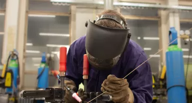 ALbee is a truly unique product