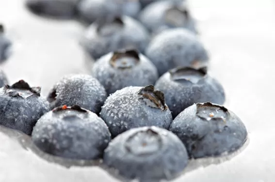 Cryocabinet-Benefits-Bob-Taylor