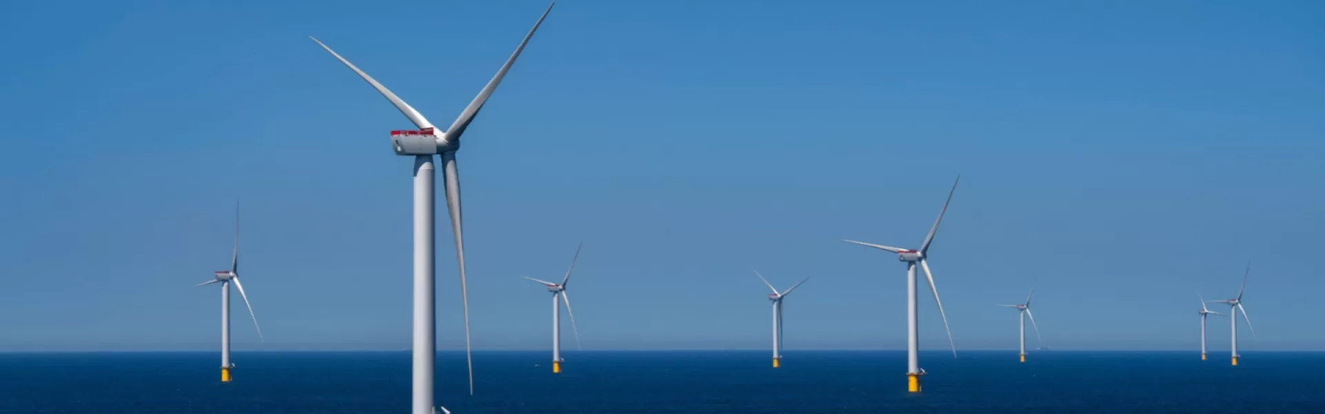 Air Liquide garantirà il 70% del suo fabbisogno di elettricità rinnovabile nel Benelux con un nuovo contratto a lungo termine
