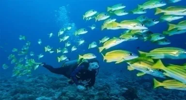 We are travelling to Mars